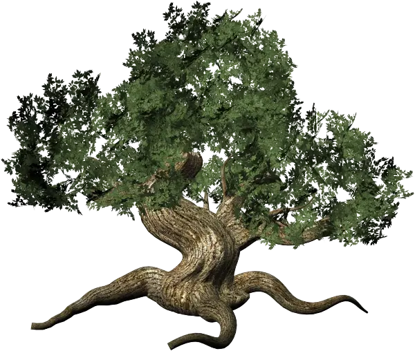 Twisted Tree with Unique Branches