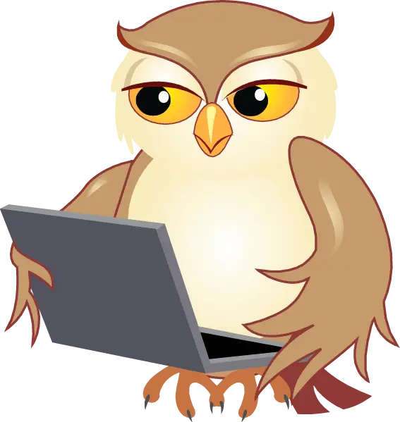 Owl Using Laptop