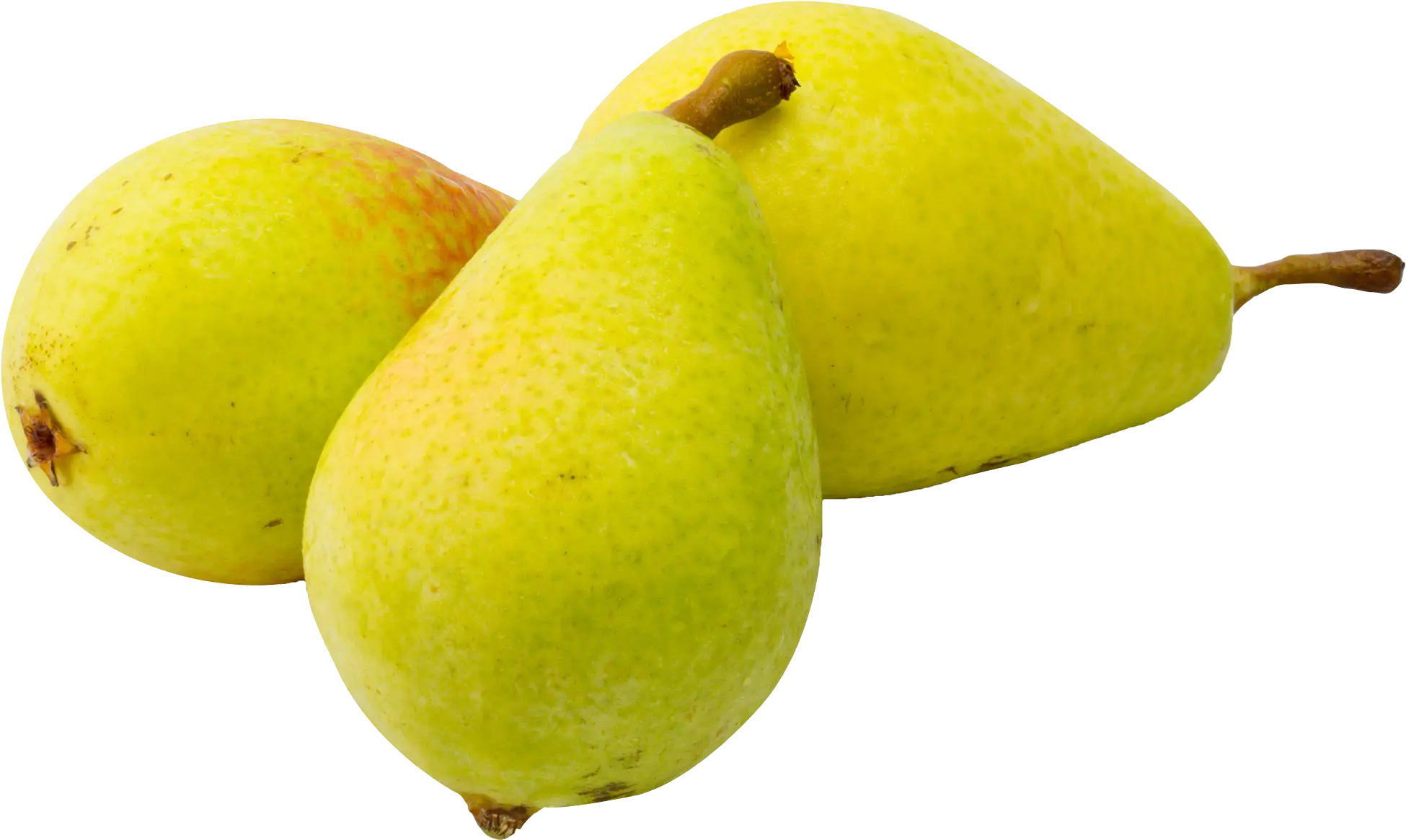 Fresh Yellow Pears Illustration