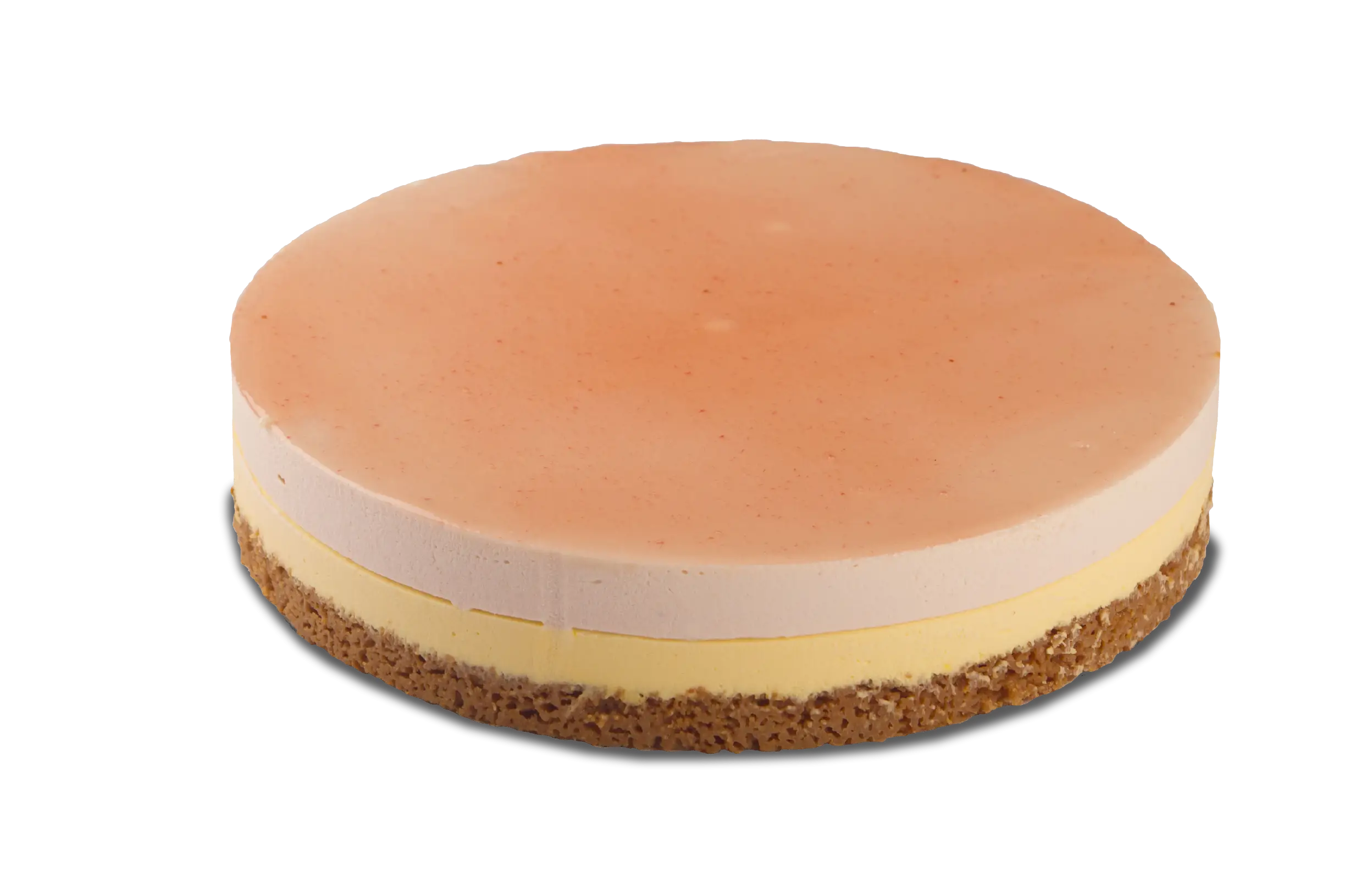 Layered Cheesecake Slice