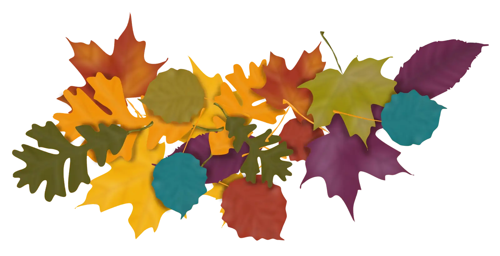 Colorful Autumn Leaves Illustration