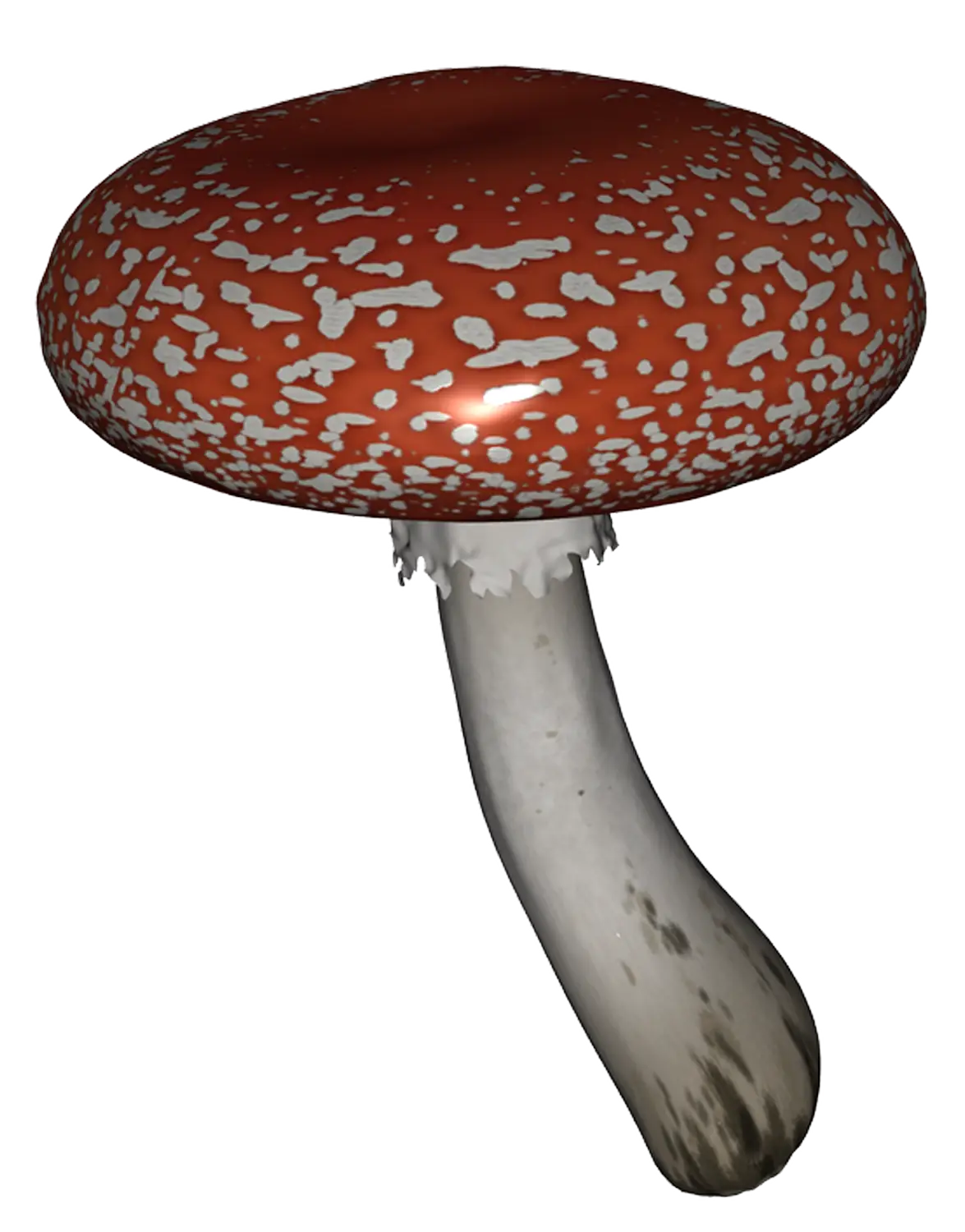 Red Cap Mushroom Illustration