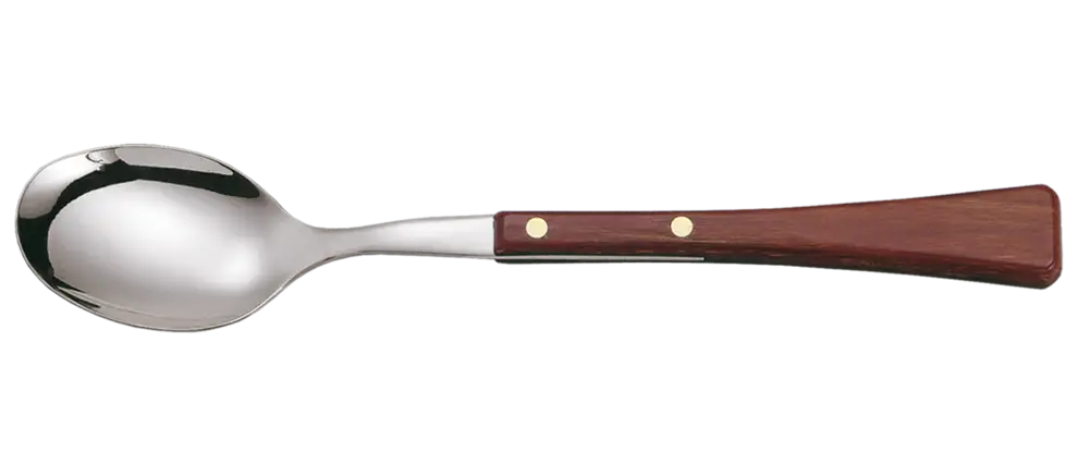 Metal Spoon with Wooden Handle