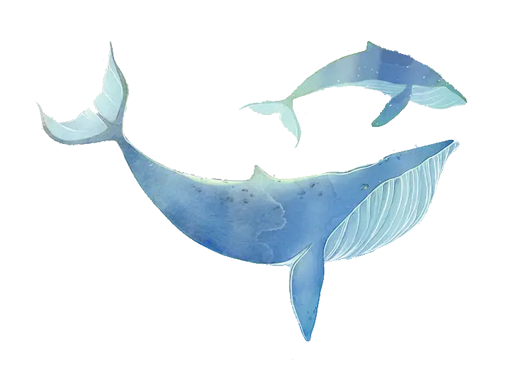 Watercolor Illustration of Blue Whales