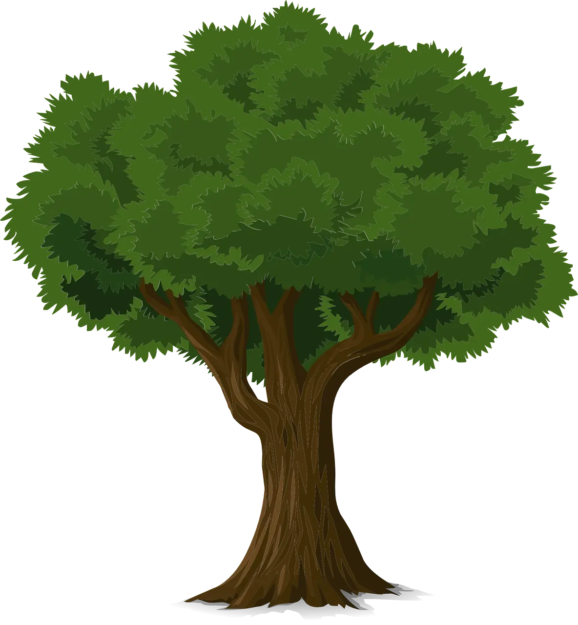 Tree with lush green foliage
