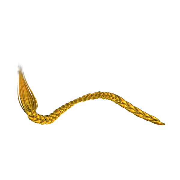 Golden Braided Hair