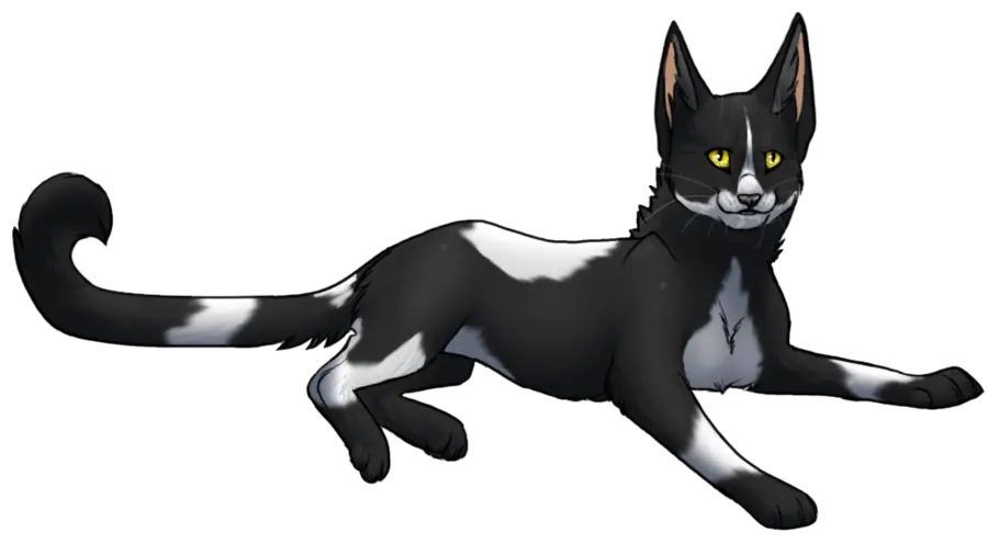 Relaxed Black and White Cat Illustration