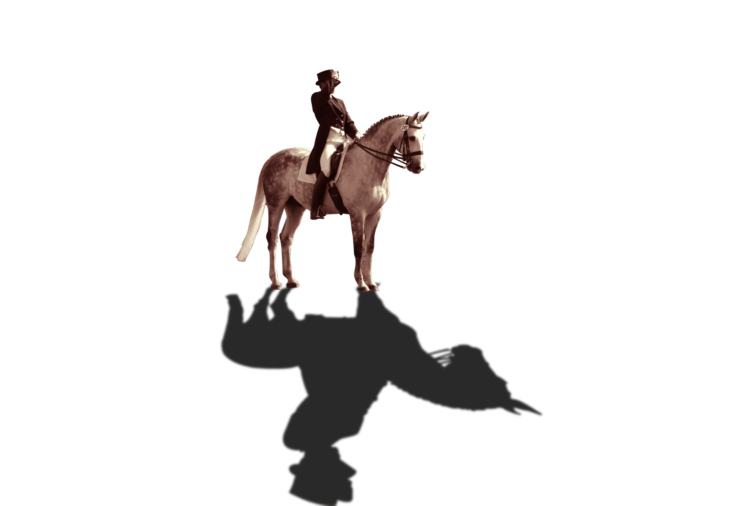 Equestrian Horse Rider