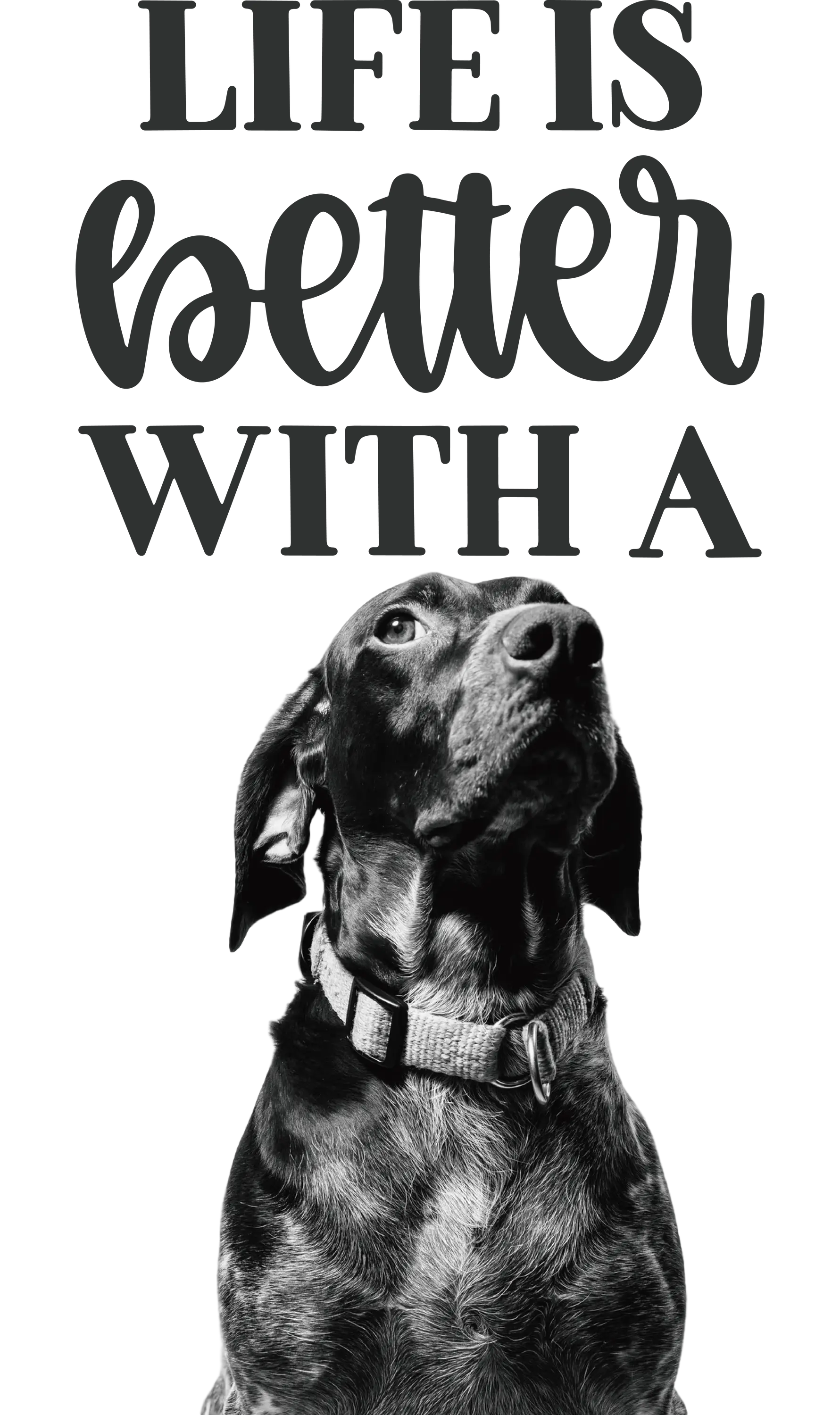 Life is Better with a Dog