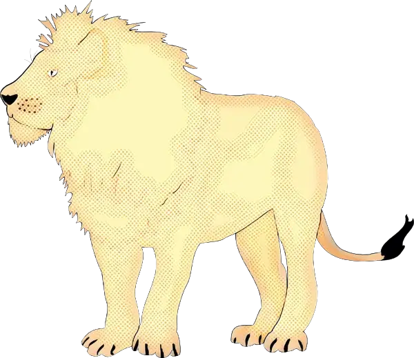 Cartoon Lion Illustration