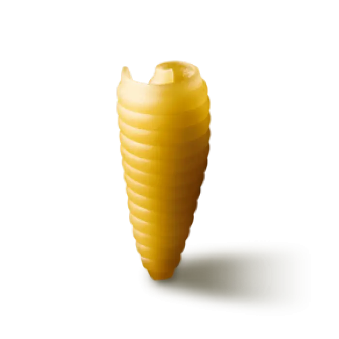 Delicious Pasta Shell