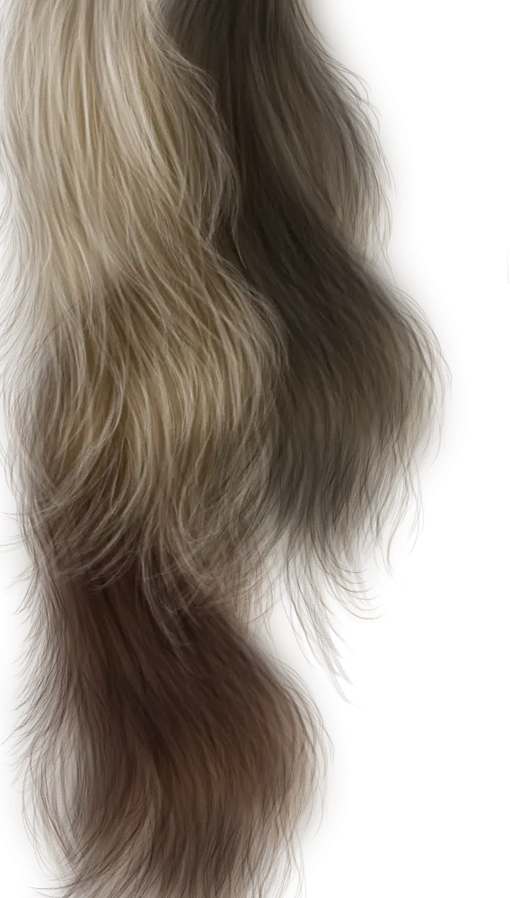 Realistic Animal Fur Texture
