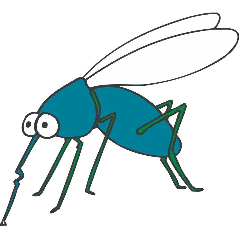 Cartoon Mosquito Illustration