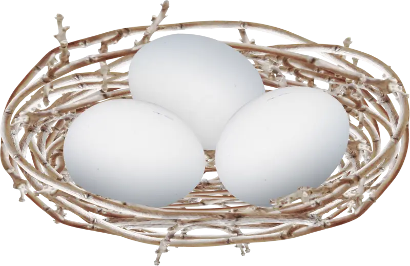 White Eggs in a Nest