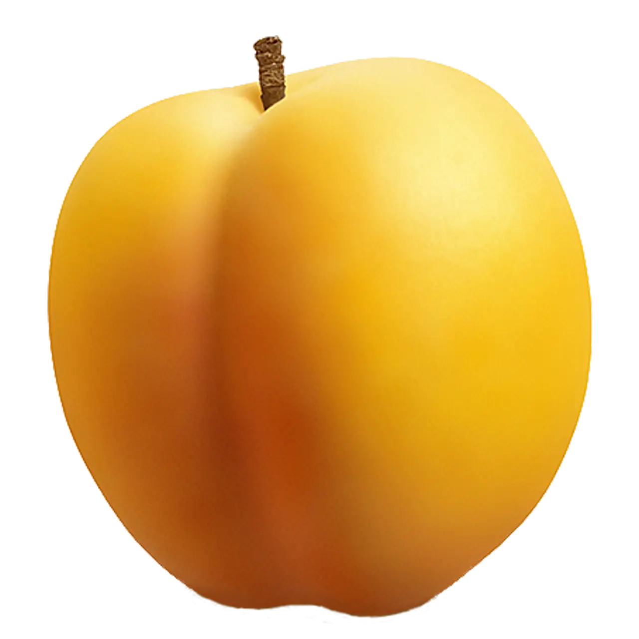 Yellow Apricot Fruit Illustration