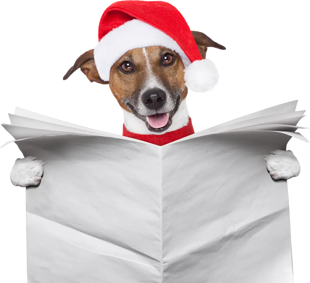 Dog with Santa Hat Holding Newspaper