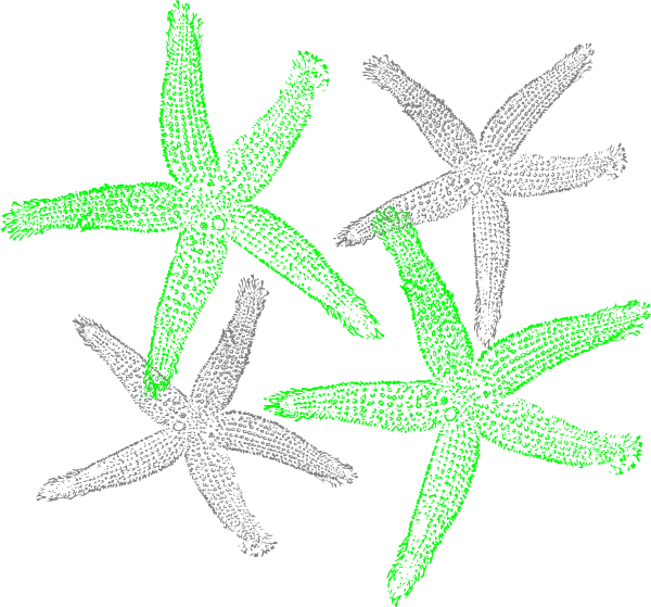 Green and Gray Starfish Illustration