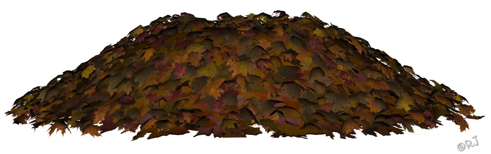 Pile of Autumn Leaves Outdoors