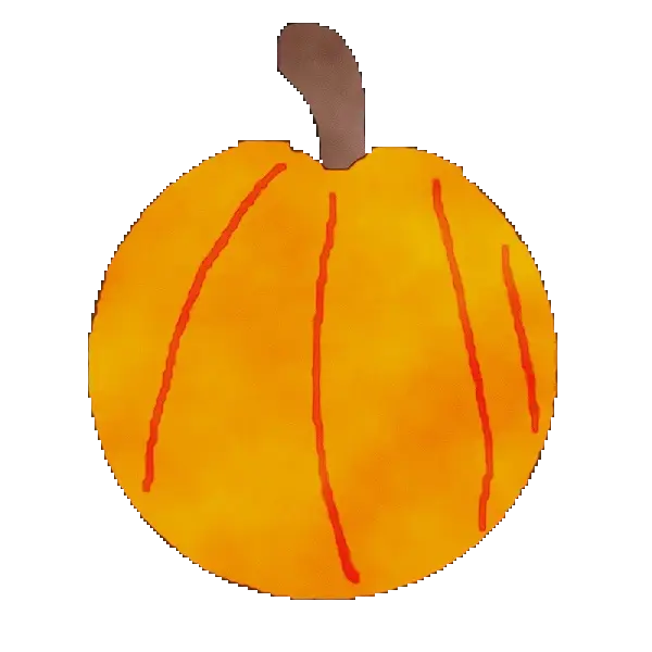 Orange Pumpkin Illustration for Autumn
