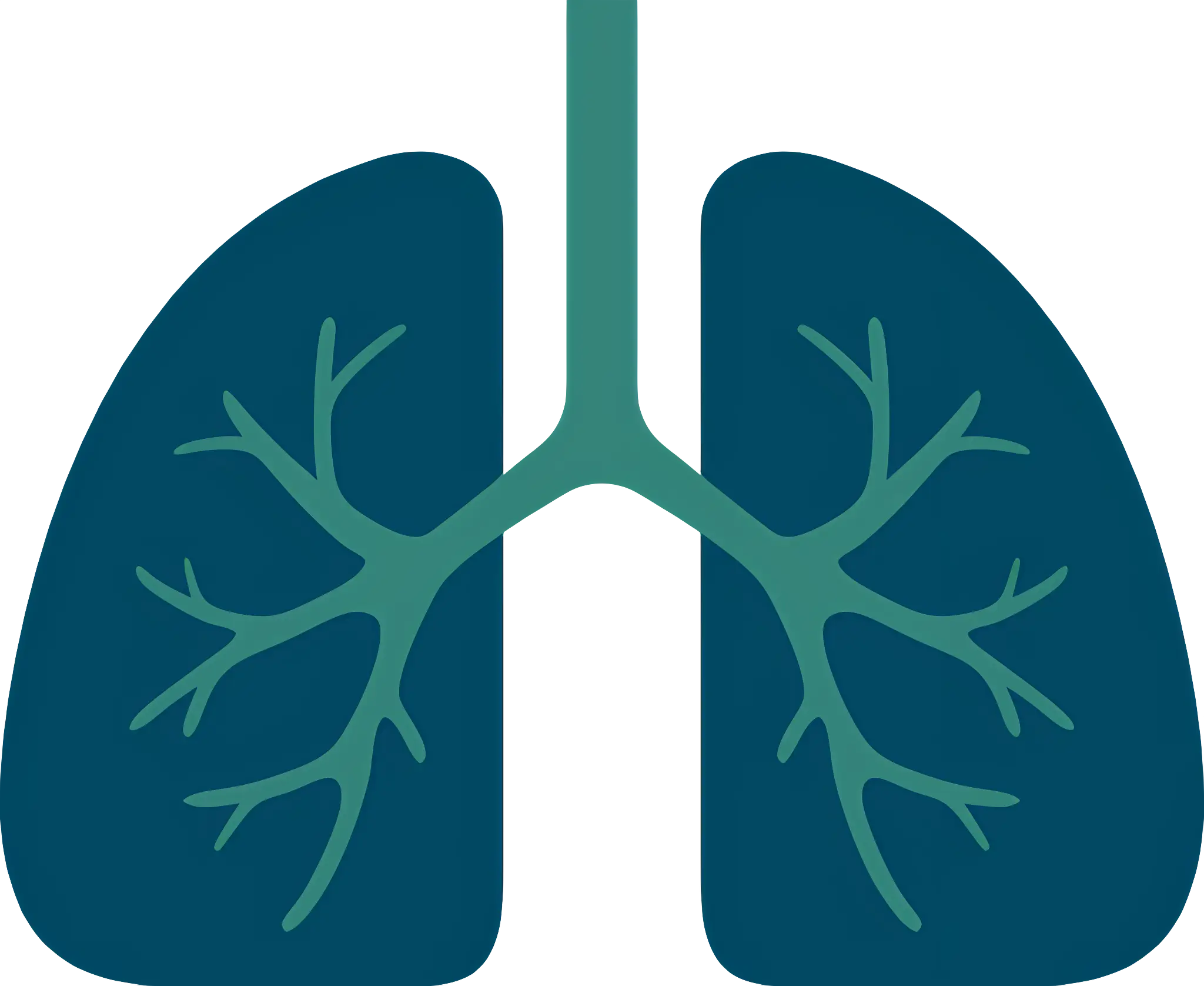 Lungs Illustration for Medical or Education Concept