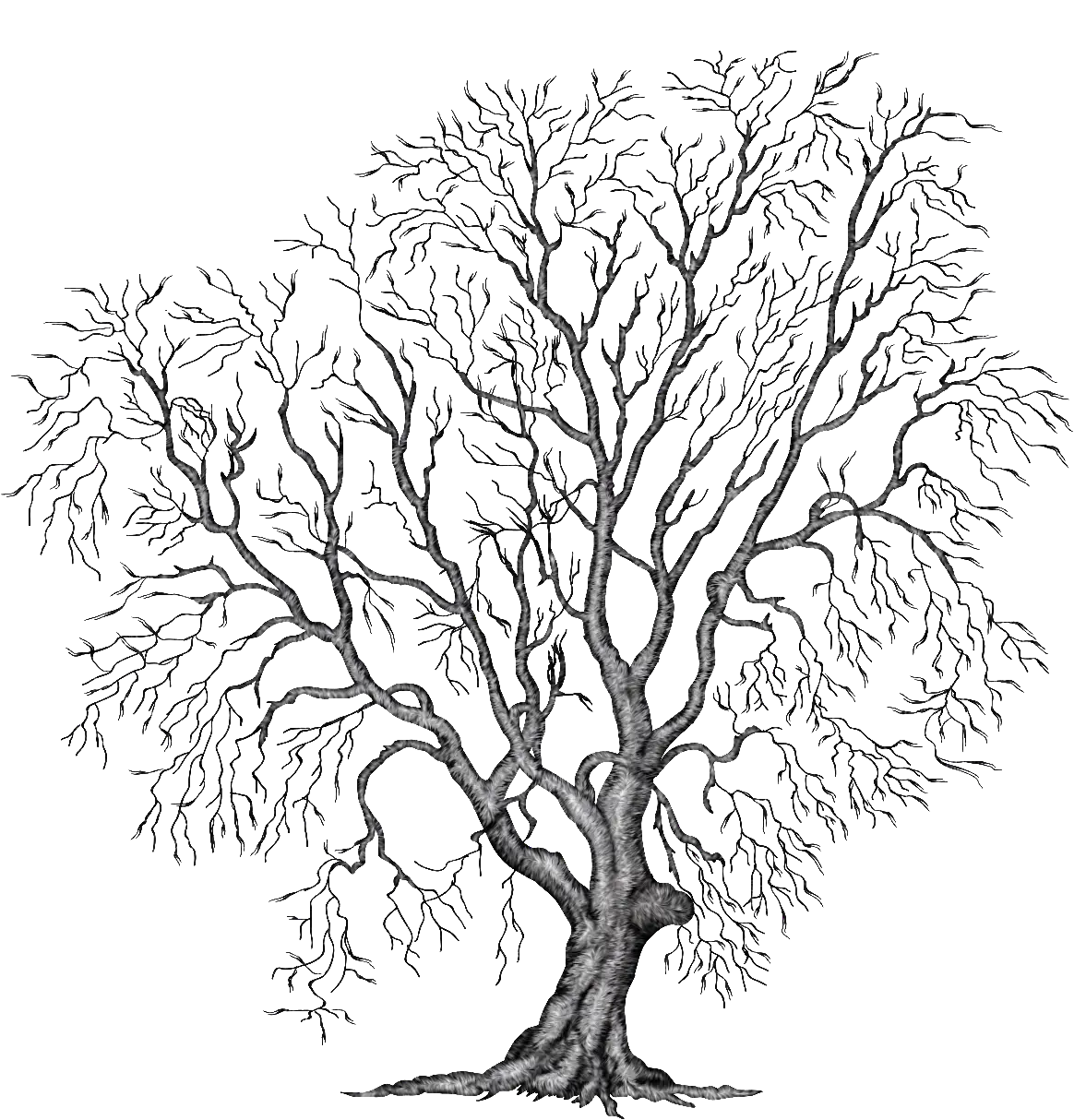 Artist&#039;s Sketch of a Bare Tree