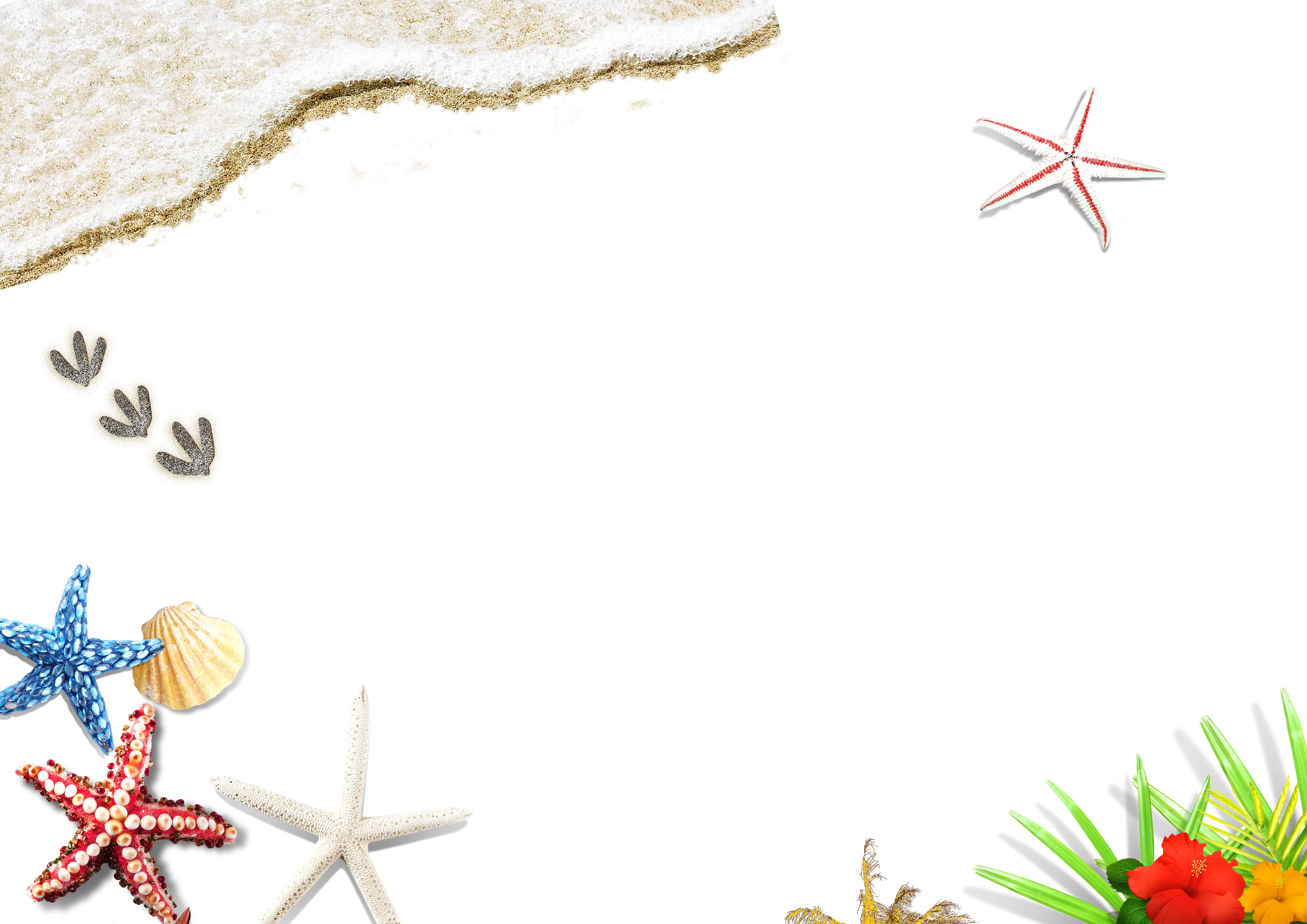 Beach Themed Background