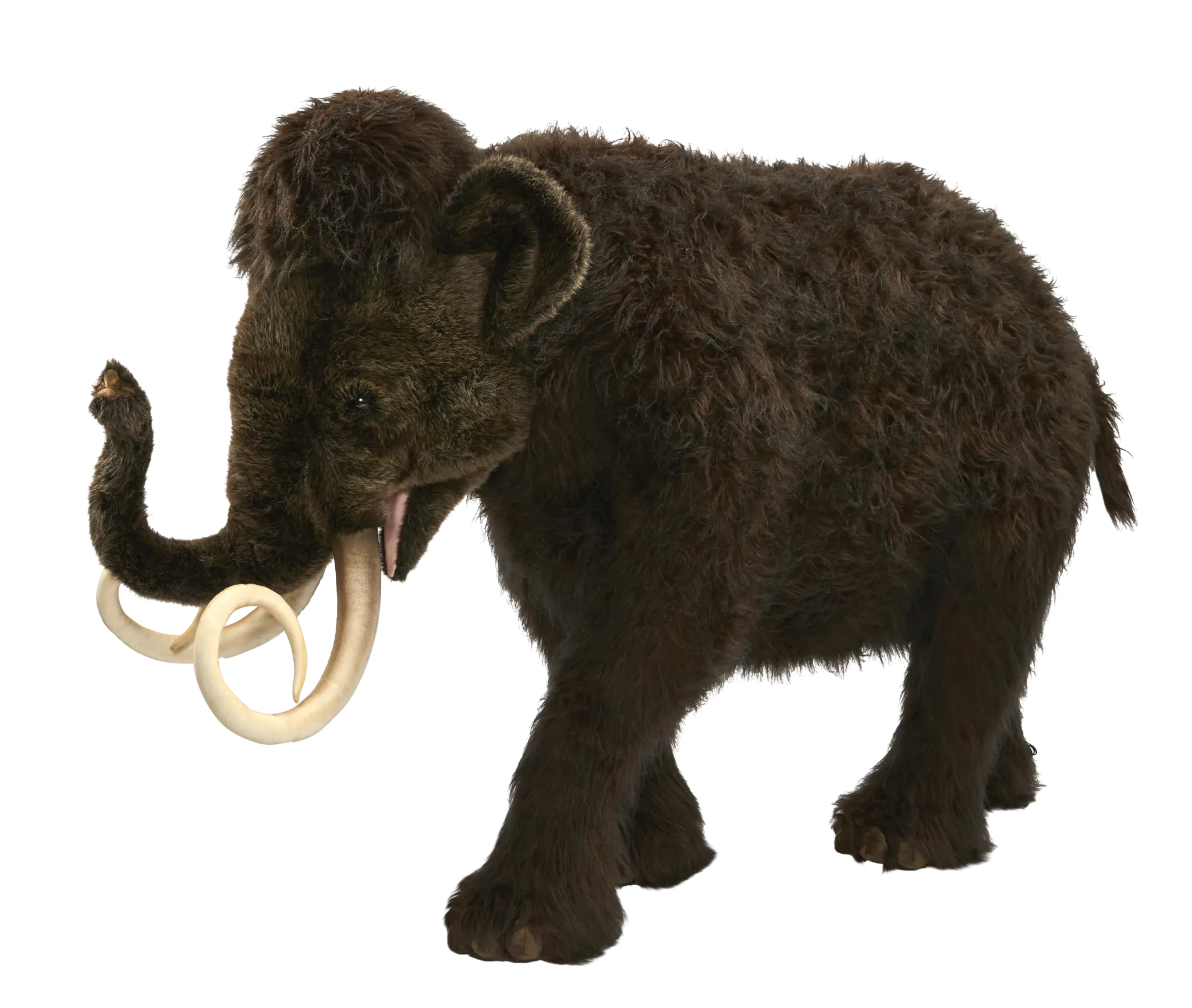 Woolly Mammoth Illustration