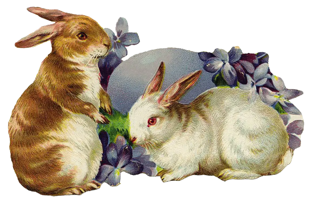 Brown and White Rabbits with Flowers