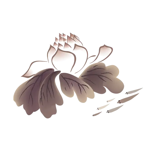 Lotus Flower Hand-Drawn Illustration