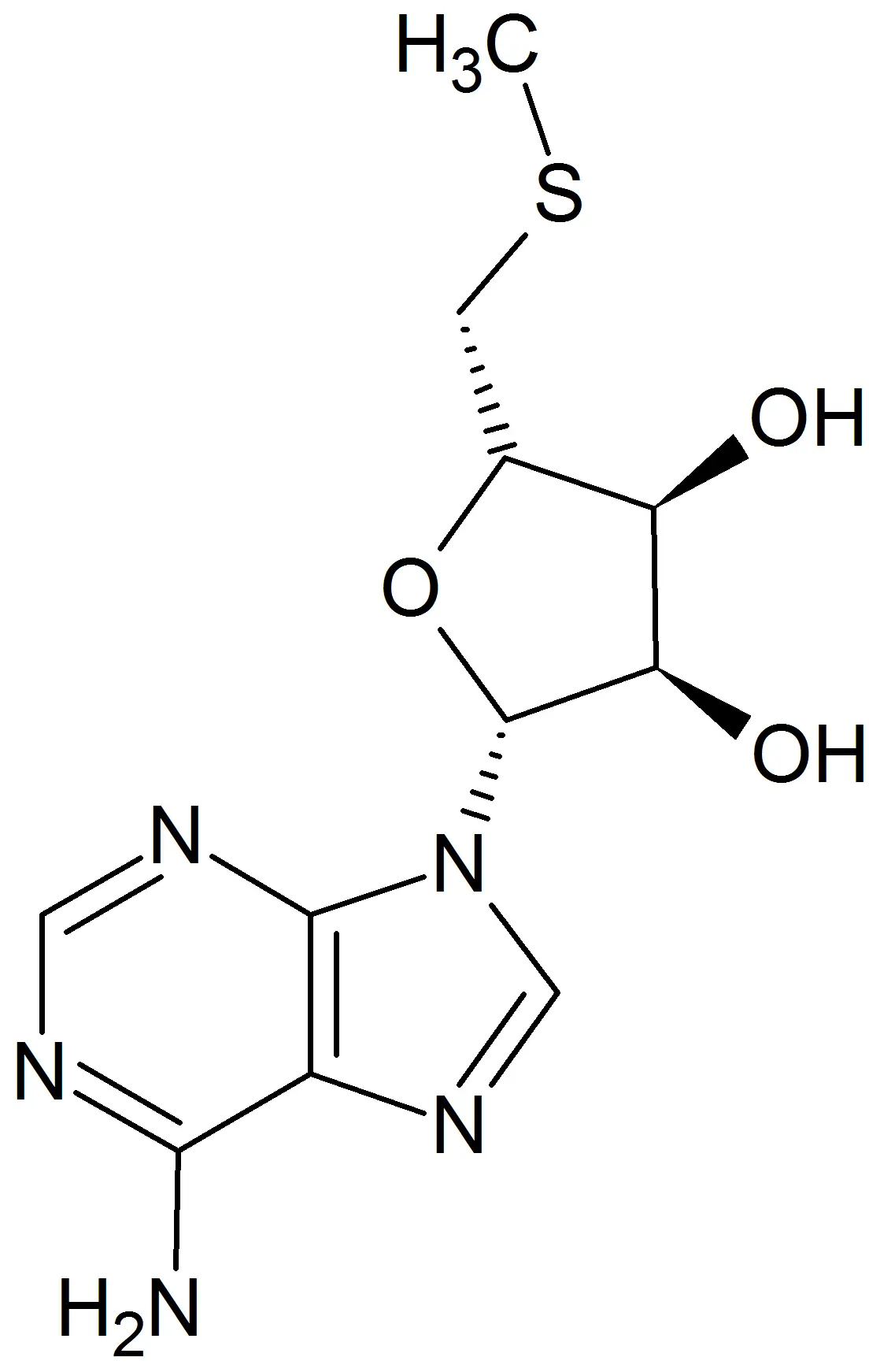 Detailed Molecular Structure Diagram