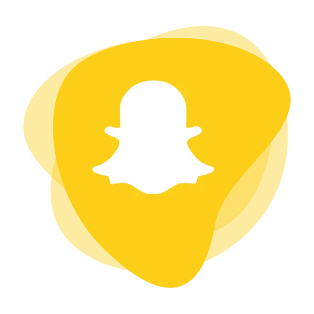 Snapchat Social Media Logo