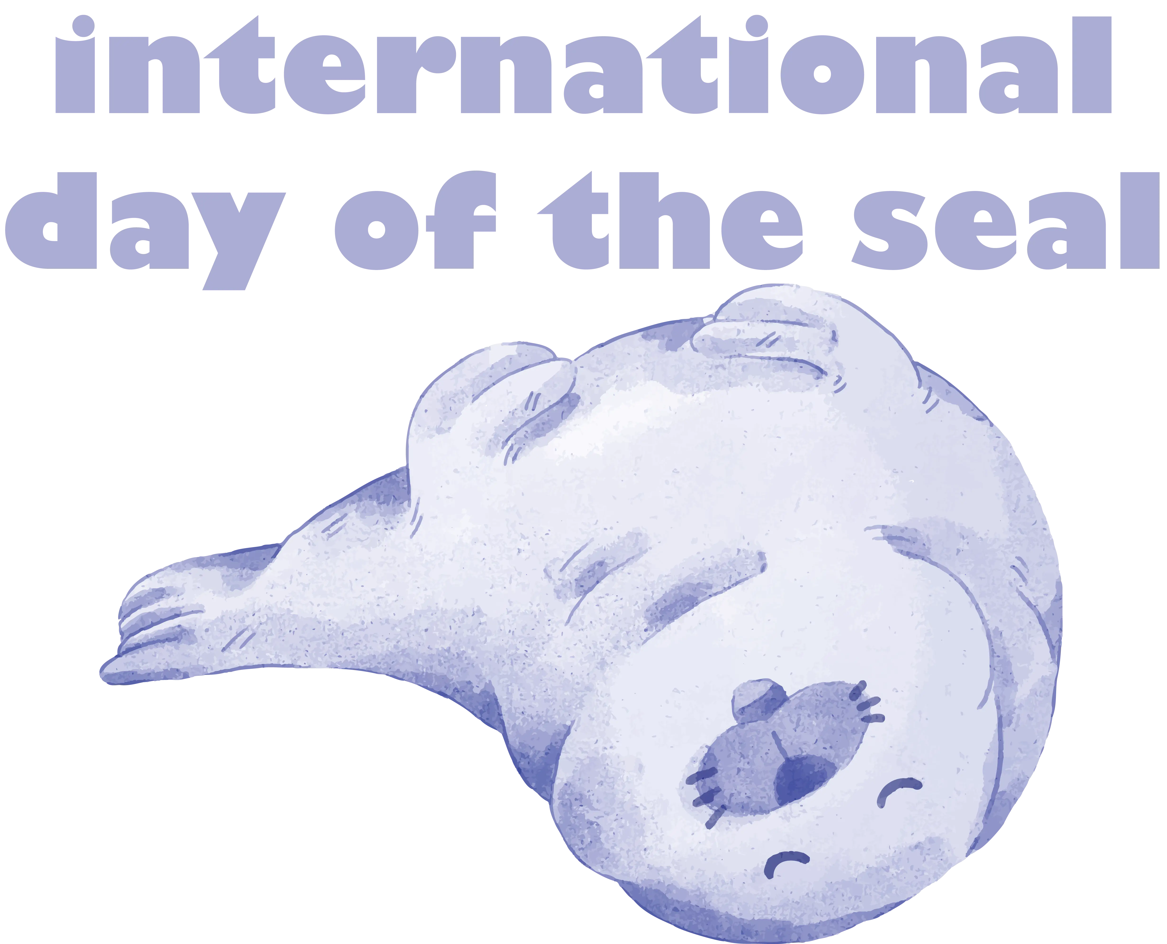Sleeping Seal for International Day of the Seal
