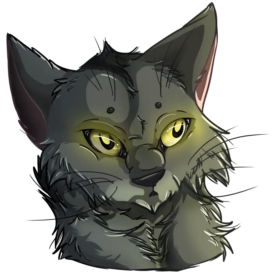 Gray Cat with Glowing Eyes