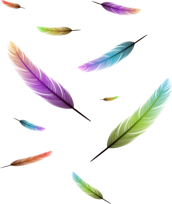 Vibrant Colorful Feathers