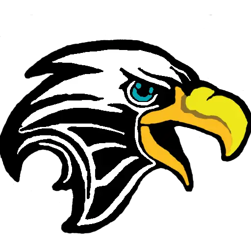 Fierce Eagle Head Illustration with Bold Design