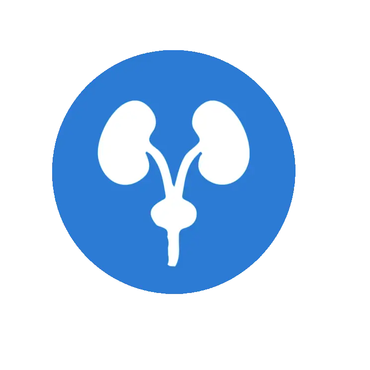 Medical Kidneys Icon