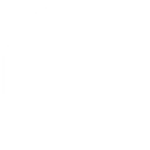 Empty Circular Outline Design