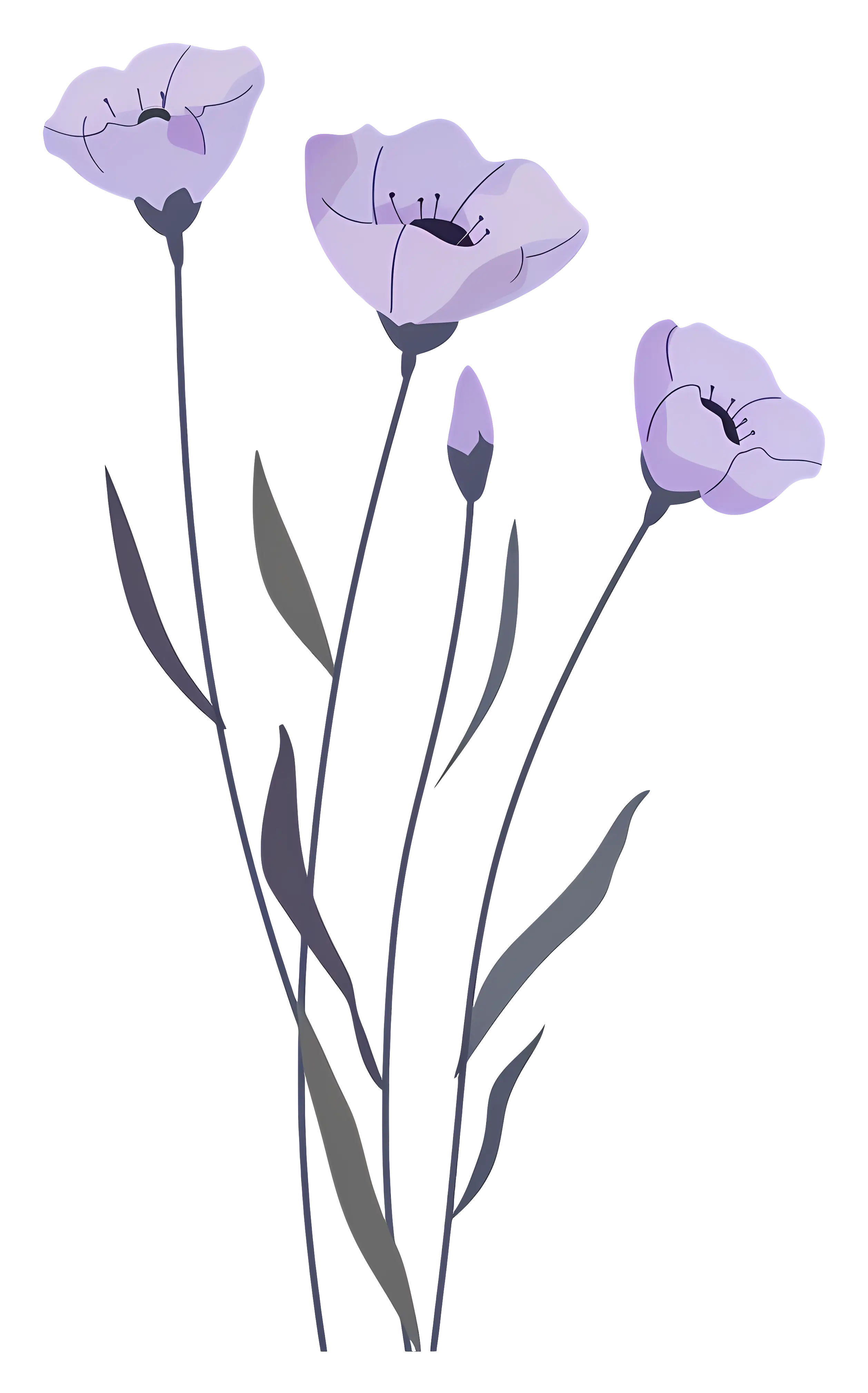 Purple Flowers with Green Leaves