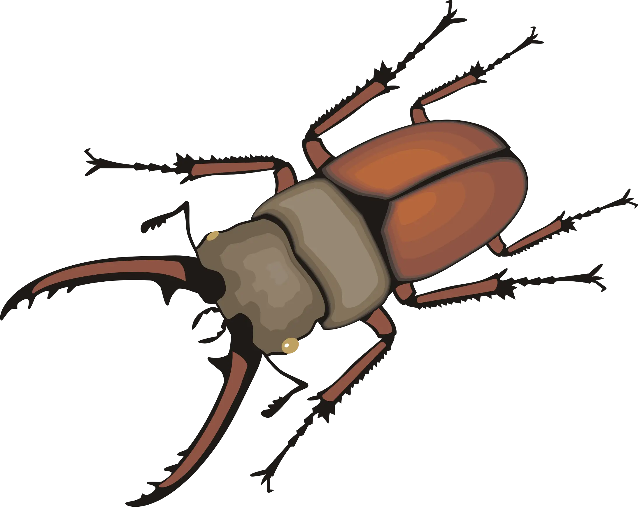 Stag Beetle in Cartoon Style