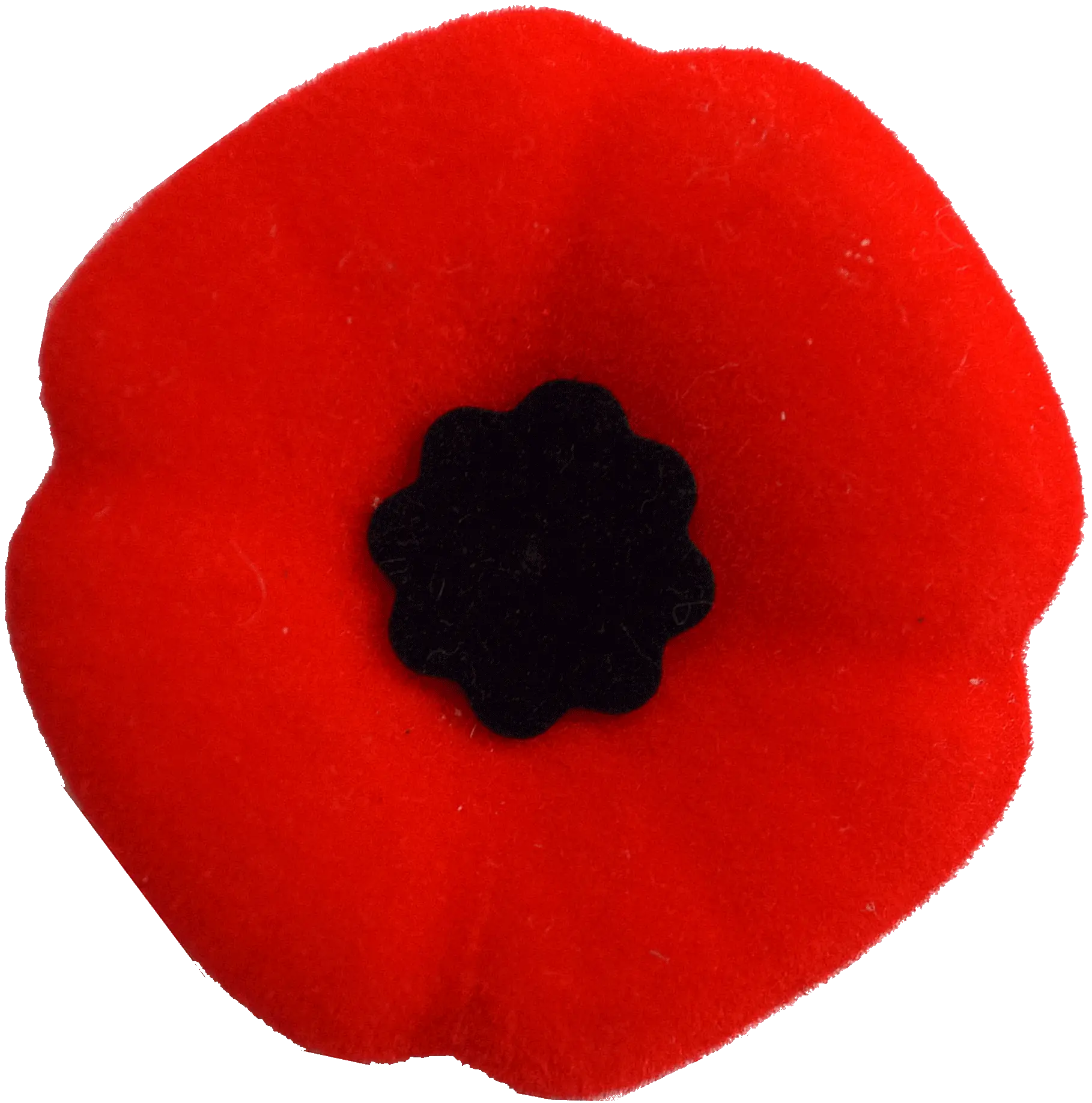 Red Remembrance Poppy Symbol