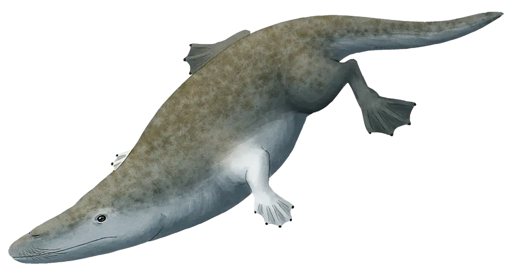 Prehistoric Amphibian Illustration
