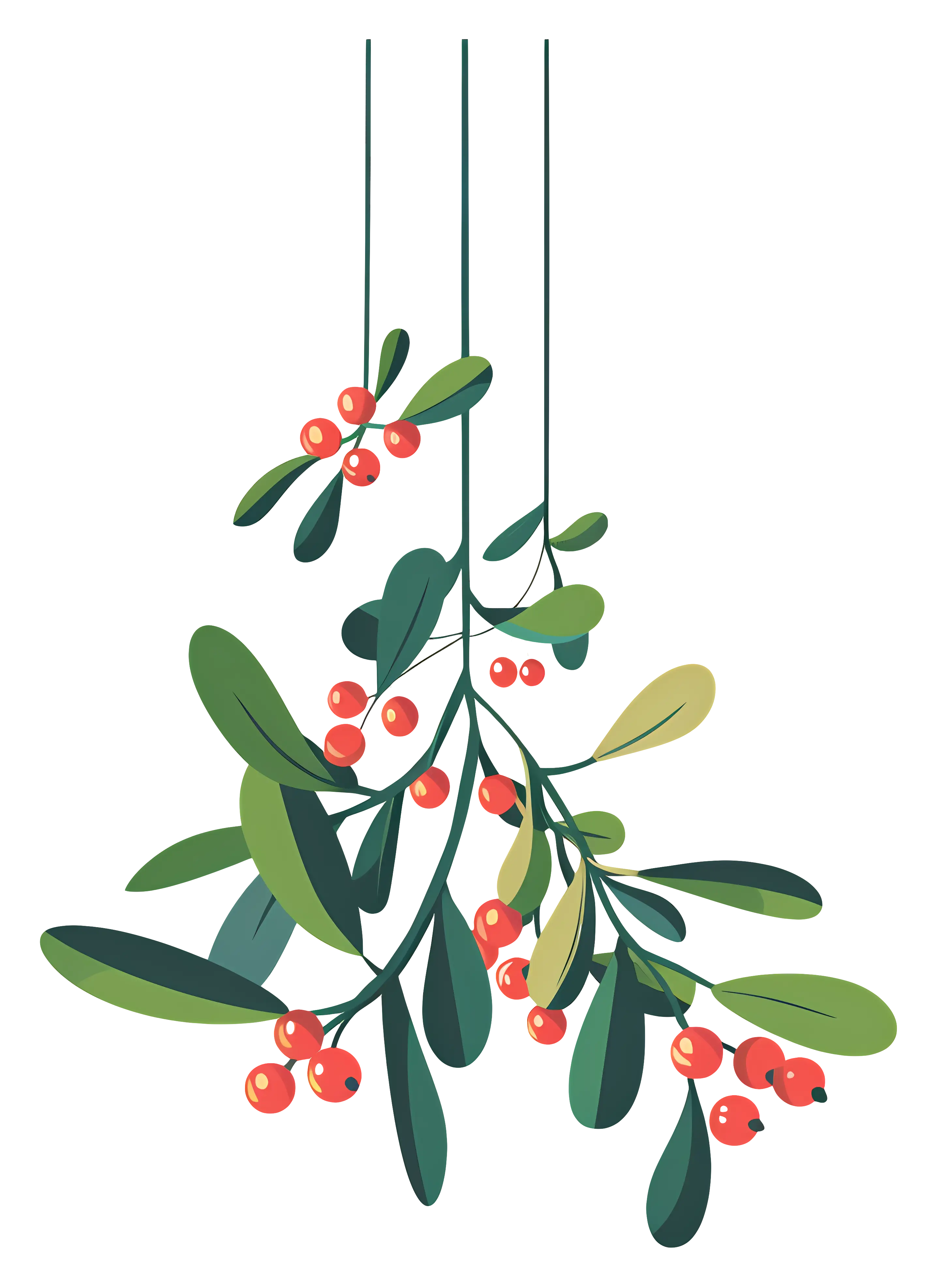 Mistletoe Illustration for Christmas Decor