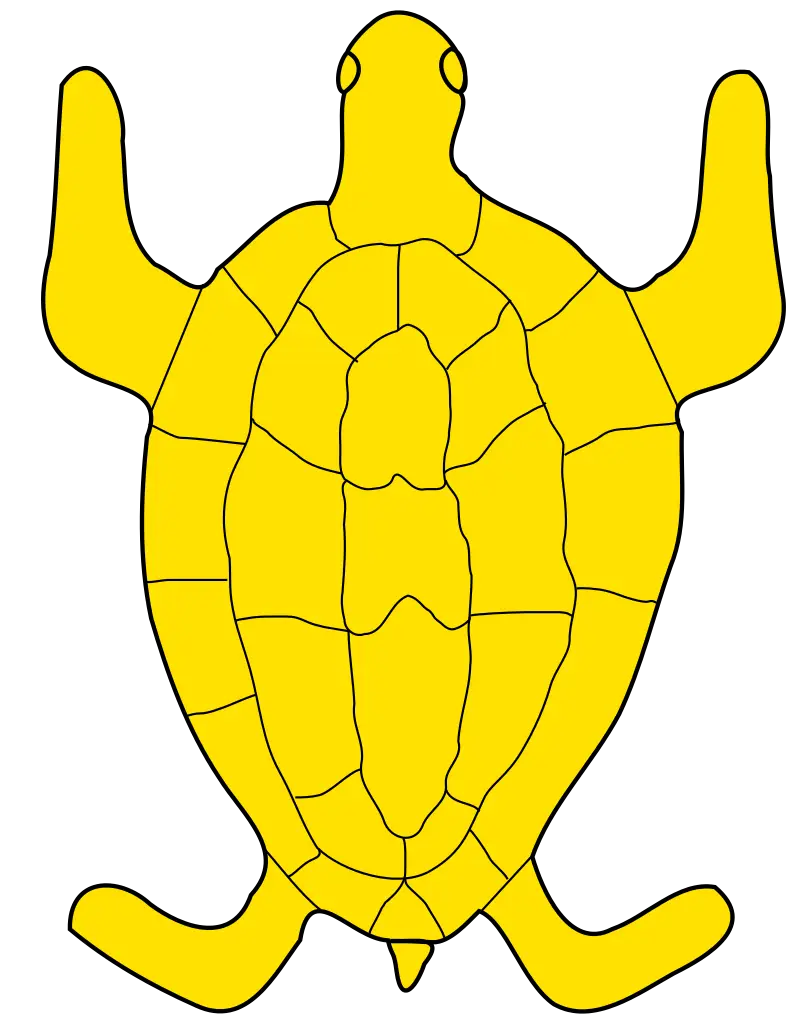 Yellow Turtle Top View Illustration