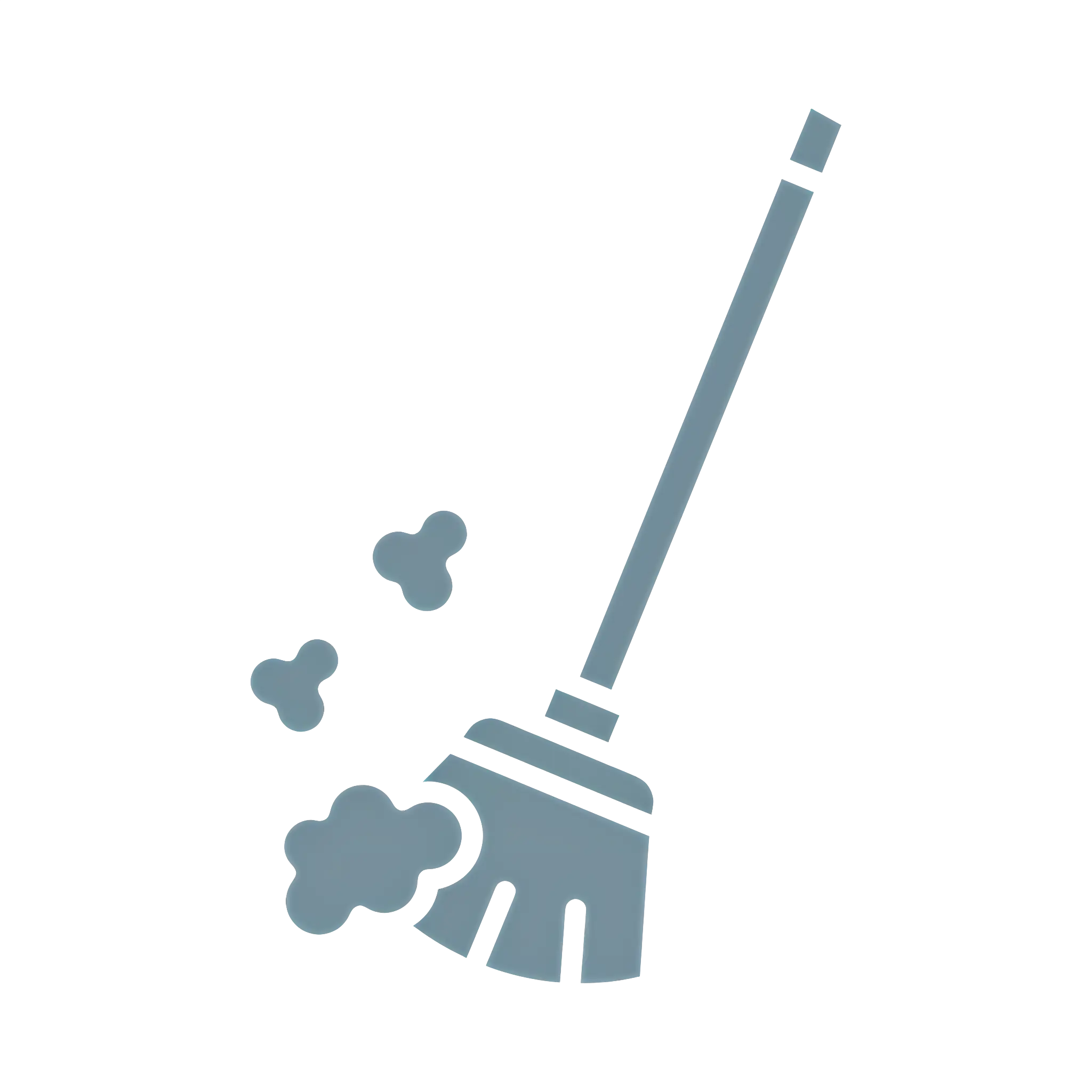 Broom Sweeping Dust