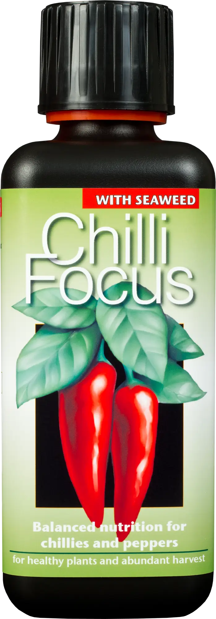 Chilli Focus Bottle