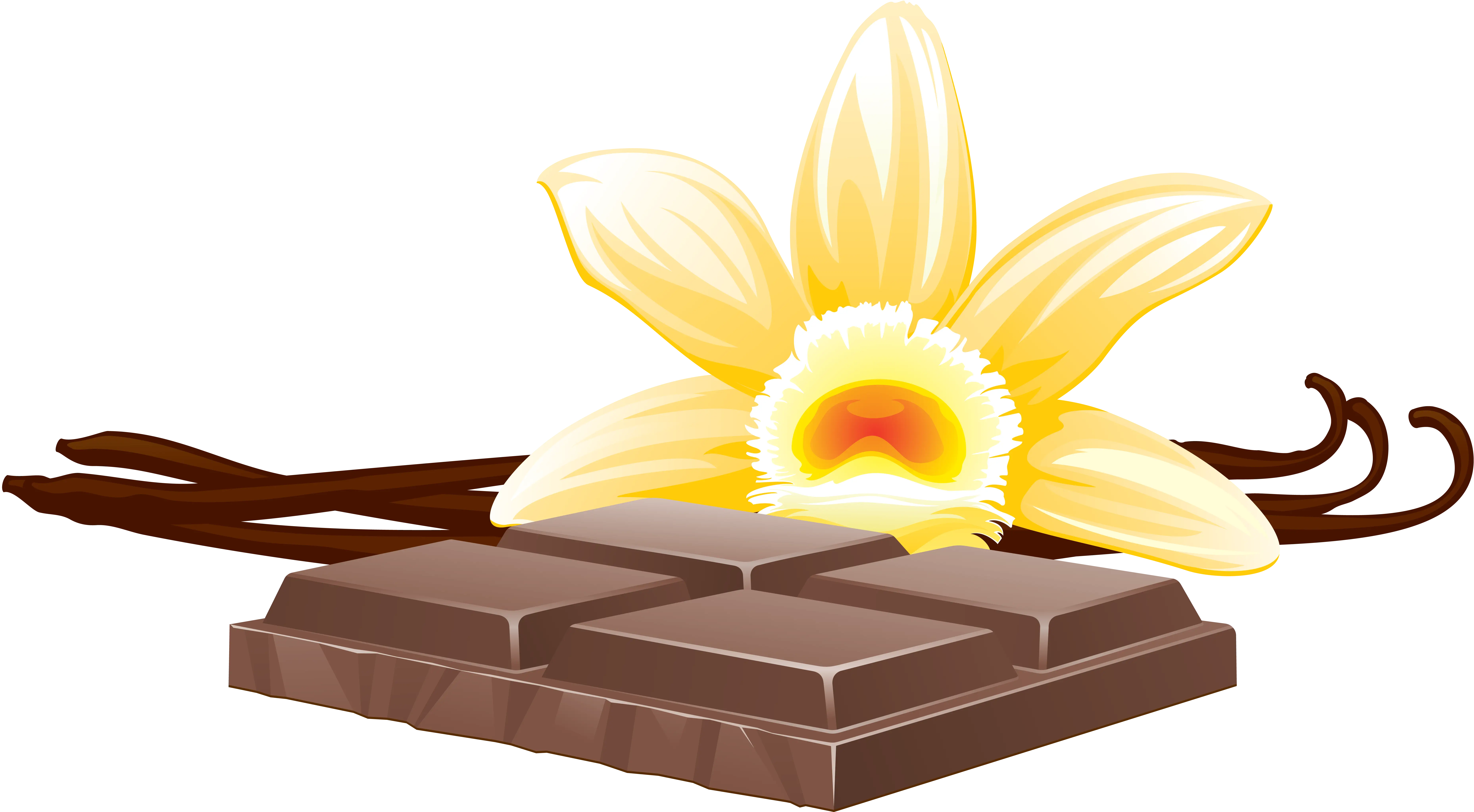 Vanilla and Chocolate Illustration