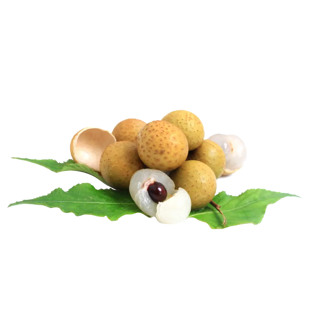 Fresh Longan Fruit