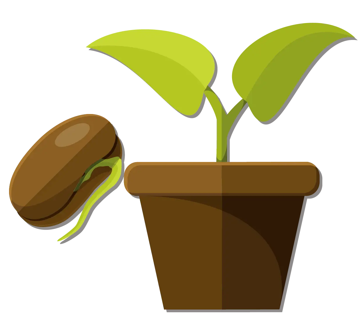 Green Seedling Growing in a Pot