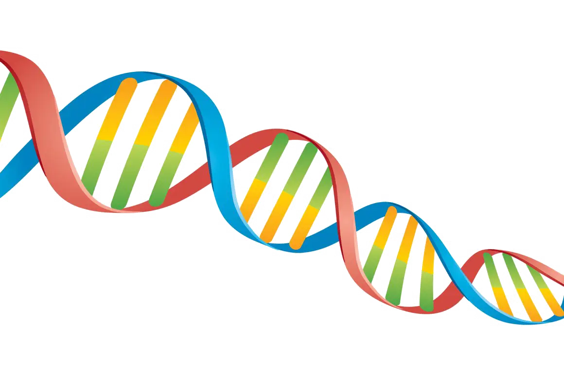 DNA Helix Illustration for Science