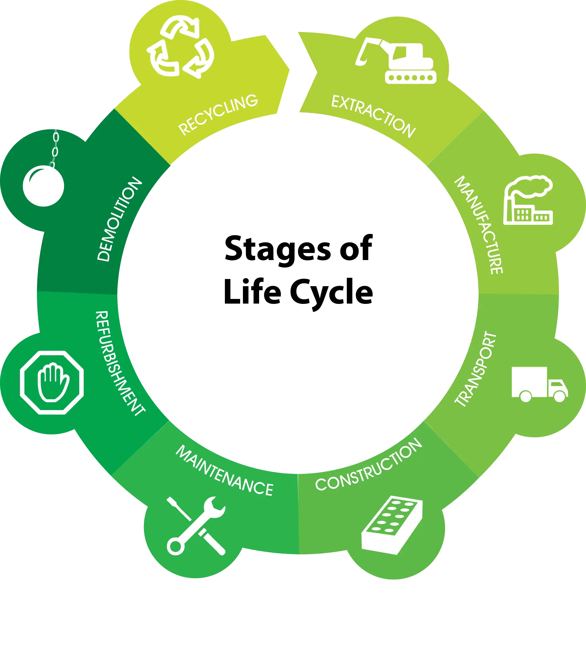 Stages of Life Cycle Diagram